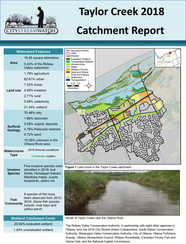 City Stream Watch 2018 Taylor Creek