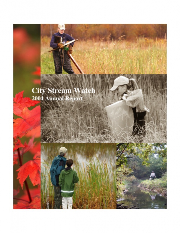 City Stream Watch 2004 - Annual Report