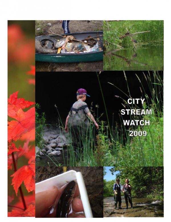 City Stream Watch 2009 - Annual Report