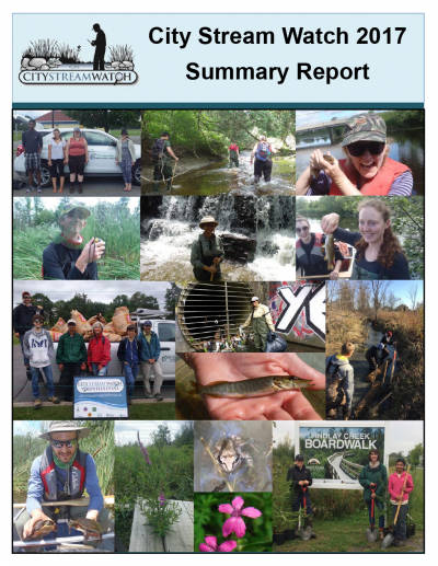 City Stream Watch 2017 Summary Report