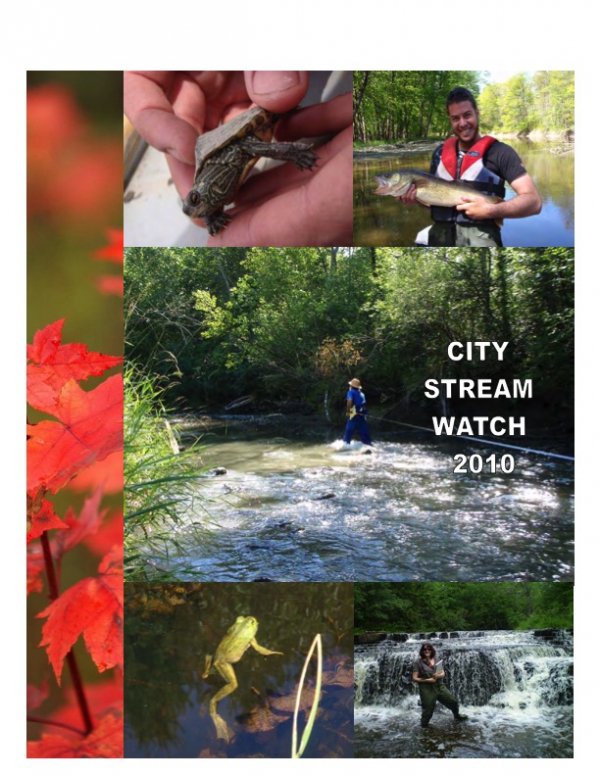 City Stream Watch 2010 - Annual Report