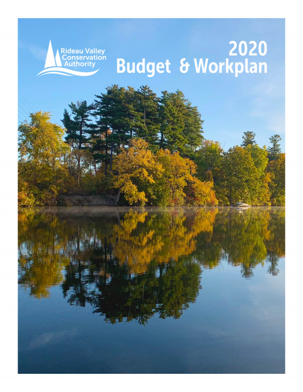 2020 Budget and Work Plan