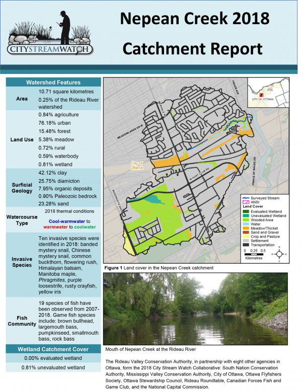 City Stream Watch 2018 Nepean Creek