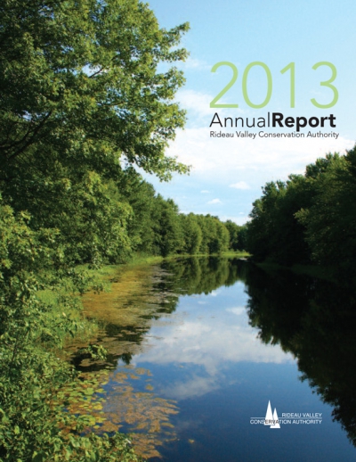 2013 Annual Report