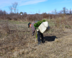 RVCA Plants 275,000 This Spring!